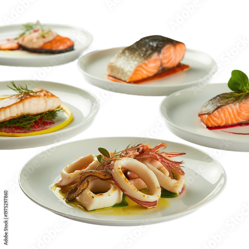 Set of plates with seafood cuisine dish, squid , salmon steak isolated on white background