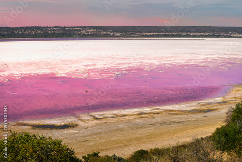 Hutt Lagoon pink salt lakes in western australia soft pastel sunset lights a pink salt lake
