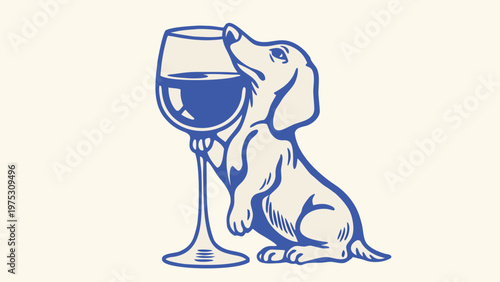 A curious dachshund gazes longingly at a tall glass of dark liquid