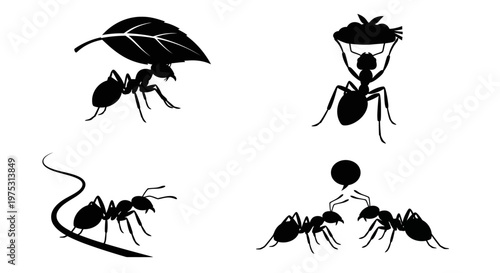 Ant Silhouette Vector Set – 4 Random Action Minimalist SVG Collection