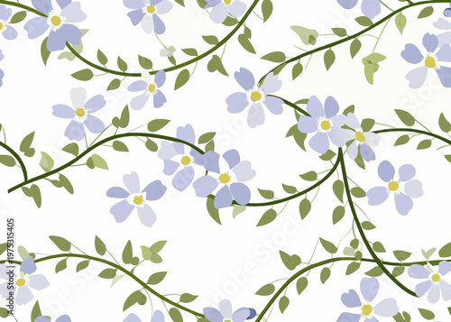 Delicate blue forget me not flowers and winding green stems on white