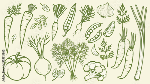 A collection of hand drawn vegetables and herbs in green hues
