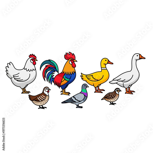 Farm Birds Collection: Rooster, Hen, Duck, Goose, Pigeon, Quail