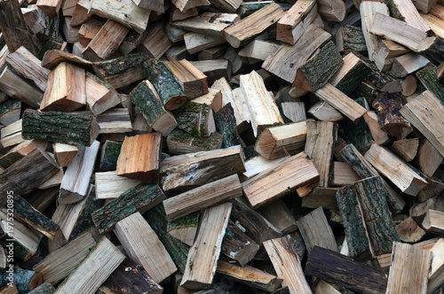 pile of firewood