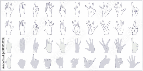 Collection of hand illustrations depicting various gestures and finger counts