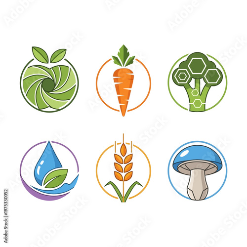 Healthy Food Icons: Fresh Produce, Water, Wheat, Mushroom, Organic Farming