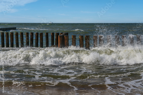Baltic Sea and wooden breakwaters of the city beach on a summer day, Svetlogorsk, Kaliningrad region, Russia