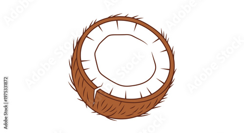 Coconut halved on white background for tropical themes and design elements