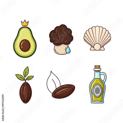 Avocado Cocoa Bean Shell Olive Oil Icons Set