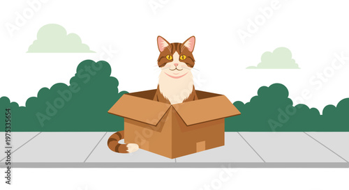 Playful Cartoon Cat in Cardboard Box - Cute Kitten Hiding Isolated on Transparent Background - Feline Fun Vector Illustration Graphic Resource