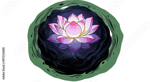 Serene Lotus Flower Vector Illustration: Blooming Pink and Purple Water Lily Emerging From Darkness, Symbolic Spiritual Awakening, isolated on transparent background.