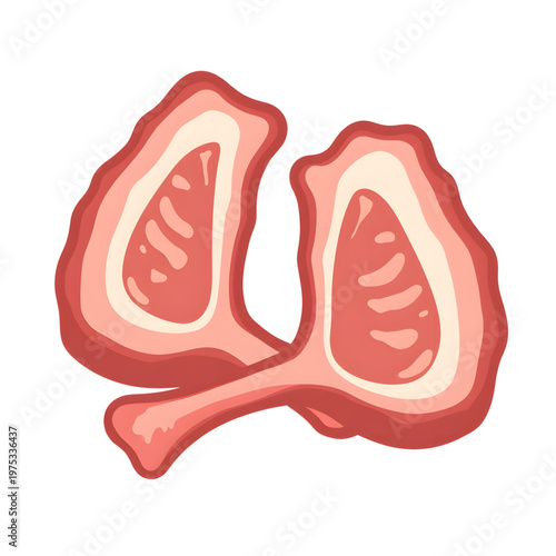 Flat vector of Galbi Korean ribs with smooth gradients, culinary art