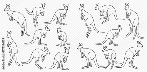 Collection of various kangaroo outline illustrations in different poses, perfect for educational and design projects.