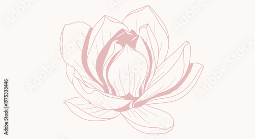 Elegant illustration of a blooming flower blossom in pastel pink tones