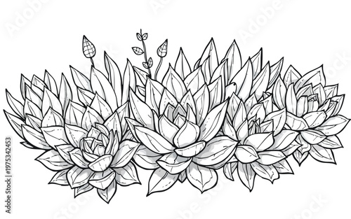 Minimalist Succulent Line Art Composition - Grayscale Floral Coloring Page Design