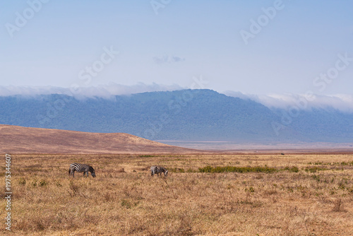 ngorongoro crater national park savanna landscape and mountains on horizon