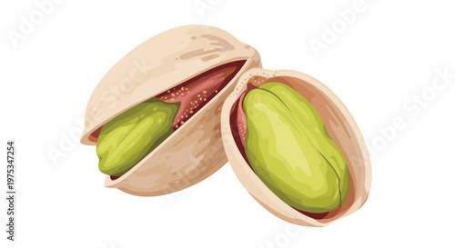 Pair of cracked pistachio nuts showing the bright green kernels inside the shells in a detailed and realistic healthy food illustration.