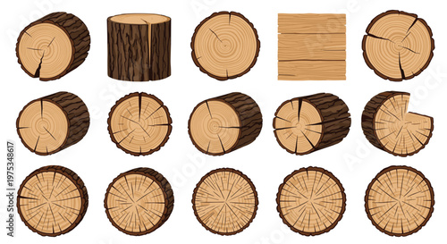 Set of different wood log cross-sections and timber trunks showing bark texture, growth rings, and various cuts on a plain white background.