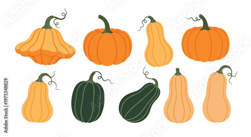 Collection of nine different pumpkins and squashes with various shapes and colors for autumn harvest and kitchen.