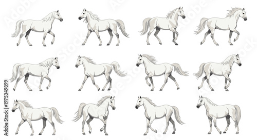 Sequence of twelve frames showing a white horse in various stages of a running and trotting motion on white background.