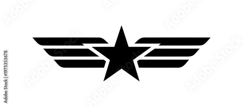 Vector graphic featuring wings and a central star in a symmetrical design