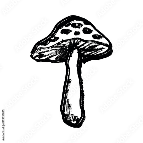 Hand drawn mushroom doodle Botanical illustration Cute autumn mushroom Healthy eco food Organic vegetarian food For stickers, greeting card, design, print, packaging, decor, kids books