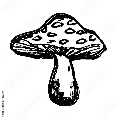 Hand drawn mushroom doodle Botanical illustration Cute autumn mushroom Healthy eco food Organic vegetarian food For stickers, greeting card, design, print, packaging, decor, kids books