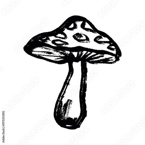 Hand drawn mushroom doodle Botanical illustration Cute autumn mushroom Healthy eco food Organic vegetarian food For stickers, greeting card, design, print, packaging, decor, kids books