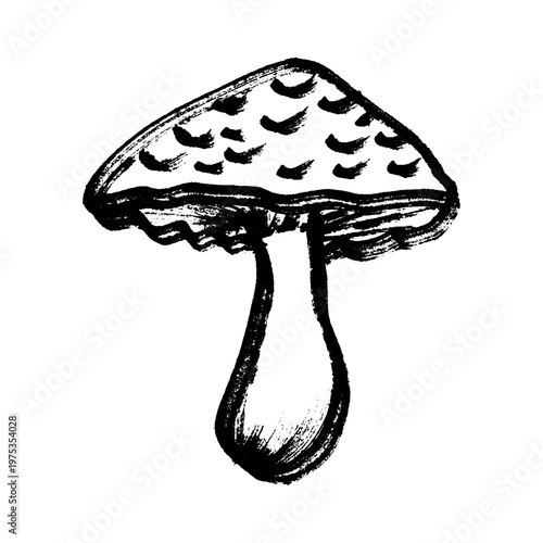 Hand drawn mushroom doodle Botanical illustration Cute autumn mushroom Healthy eco food Organic vegetarian food For stickers, greeting card, design, print, packaging, decor, kids books