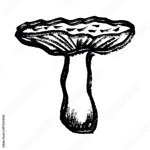 Hand drawn mushroom doodle Botanical illustration Cute autumn mushroom Healthy eco food Organic vegetarian food For stickers, greeting card, design, print, packaging, decor, kids books