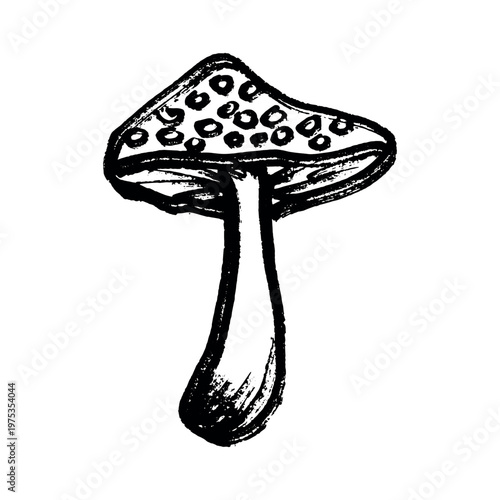 Hand drawn mushroom doodle Botanical illustration Cute autumn mushroom Healthy eco food Organic vegetarian food For stickers, greeting card, design, print, packaging, decor, kids books