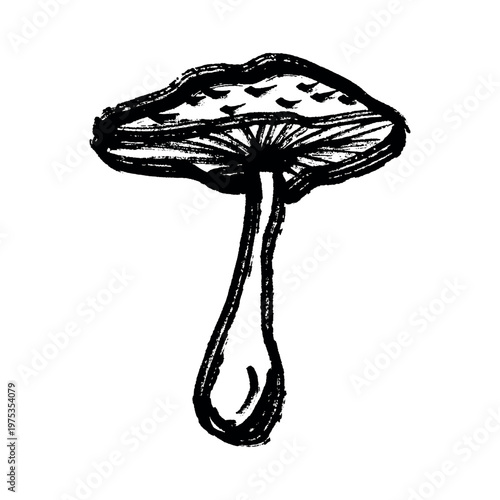 Hand drawn mushroom doodle Botanical illustration Cute autumn mushroom Healthy eco food Organic vegetarian food For stickers, greeting card, design, print, packaging, decor, kids books