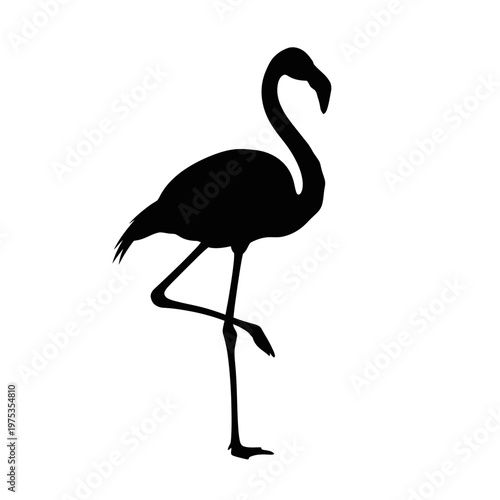 Elegant silhouette of a flamingo standing gracefully