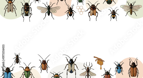 Colorful insects and beetles border with flies, bees, and wasps for entomology research, nature education, and biological science illustrations.