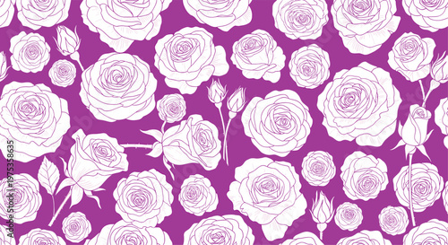 Beautiful floral pattern featuring detailed white rose blooms and buds tightly packed over a vibrant magenta purple background.