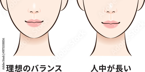 理想のバランスと人中長め　顔バランス比較図（クローズアップ）