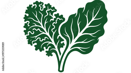 Green Kale and Chard Leaves With Stems Isolated