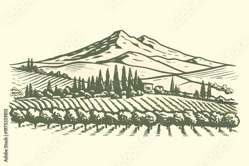 A serene landscape depicts rolling hills vineyards and a distant mountain