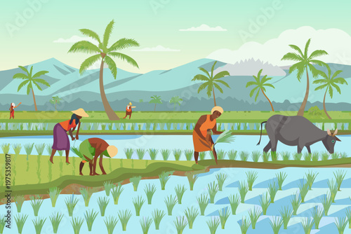 Farmers working in a flooded rice paddy field with cattle and palm trees