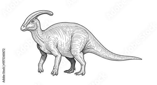 Detailed black and white engraving style illustration of a Parasaurolophus dinosaur isolated on a white background.