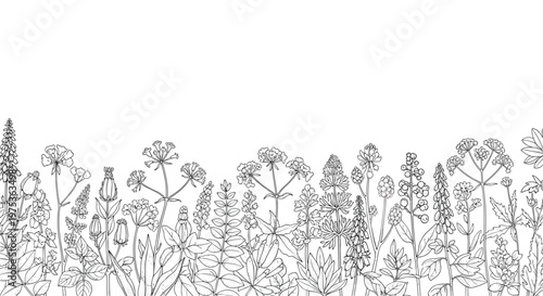 Elegant black and white line art border of various meadow wildflowers and plants growing at the bottom with plenty of white space above.