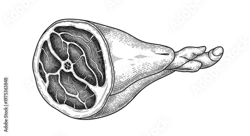 Detailed black and white engraving of a large leg of meat showing muscle structure, bone, and internal textures in a classic vintage style.