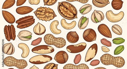 Comprehensive collection of various nuts like walnuts, almonds, pistachios, and peanuts, some in shells, on a light background.