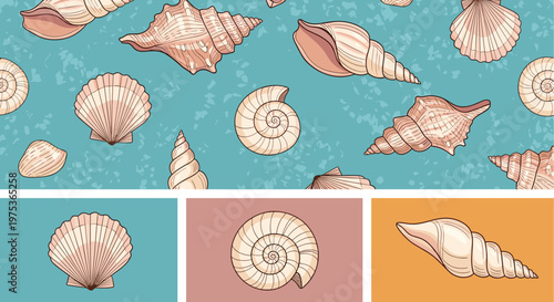 Collection of three nautical seamless patterns and individual frames featuring various hand-drawn seashells on colorful backgrounds.