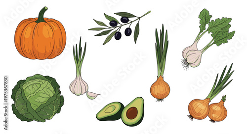 Fresh vegetable harvest collection featuring a pumpkin and cabbage along with garlic and avocados on a white space.