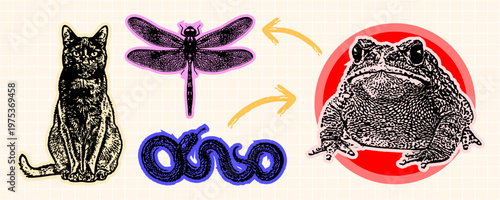 Set of vintage style animal stickers featuring a cat, a dragonfly, a snake, and a toad, artistic handdrawn illustration style