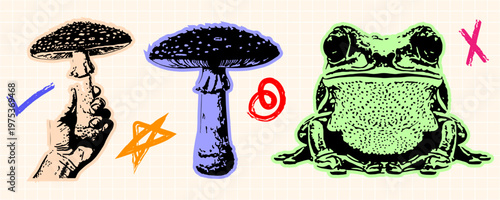Set of handdrawn illustrations featuring mushrooms and a frog, artistic doodle style with colorful accents on a grid background