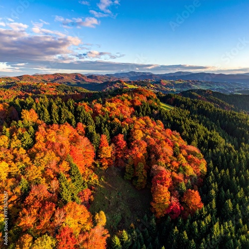 Aerial View of Stunning Autumnal Forest with Vibrant Colors and Scenic Landscape.