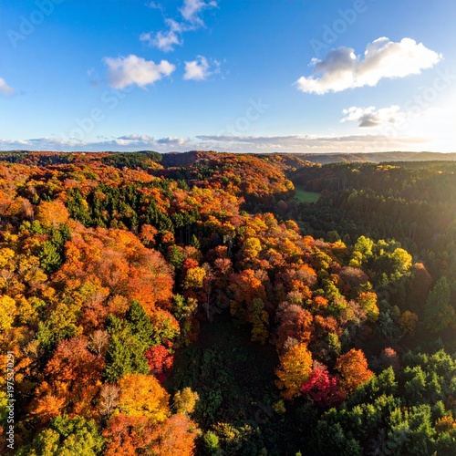 Aerial View of Vibrant Autumn Forest Landscape Under a Blue Sky.