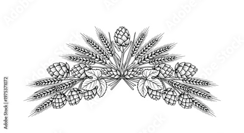 Detailed black and white arch border illustration featuring hops cones leaves and wheat stalks on white background.